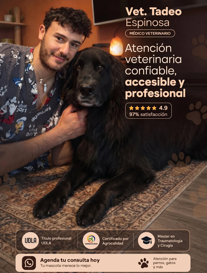 Consulta En línea/Presencial